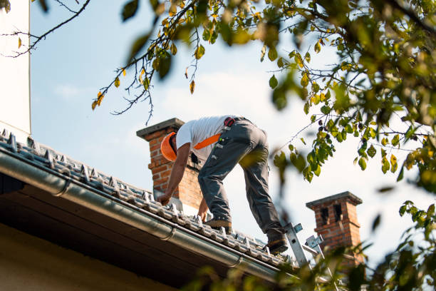 Best Roof Moss and Algae Removal  in Mendota, CA